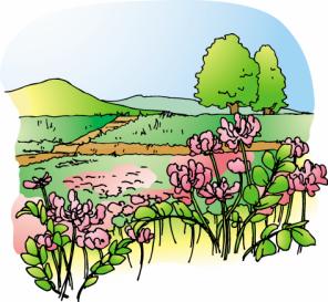 事務所便り2026年3月号